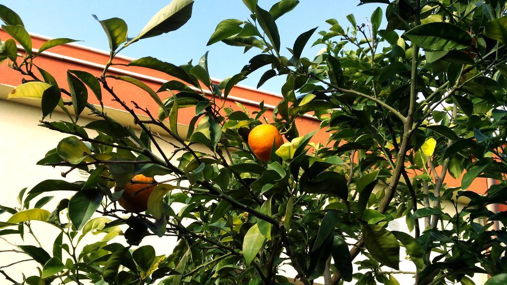 Hotel Giardino Modugno Eksteriør billede
