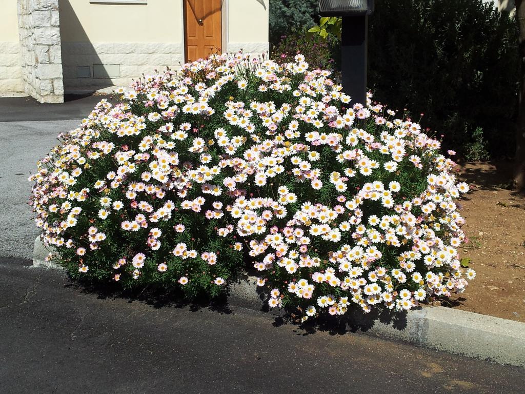 Hotel Giardino Modugno Eksteriør billede