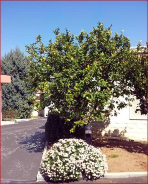 Hotel Giardino Modugno Eksteriør billede